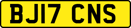 BJ17CNS