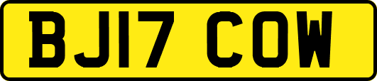 BJ17COW