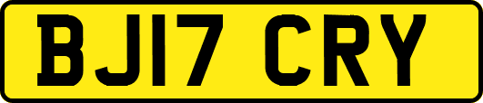 BJ17CRY