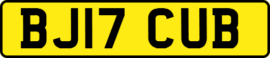 BJ17CUB