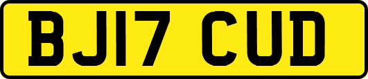 BJ17CUD