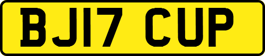 BJ17CUP