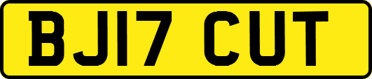 BJ17CUT