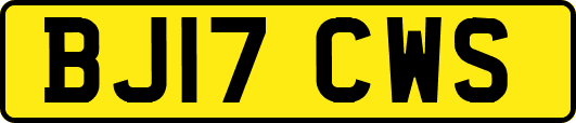 BJ17CWS