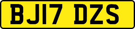 BJ17DZS