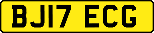 BJ17ECG