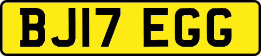 BJ17EGG