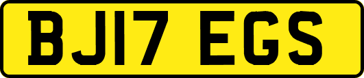 BJ17EGS