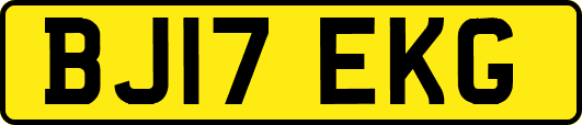 BJ17EKG