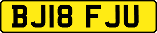 BJ18FJU