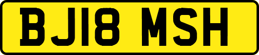BJ18MSH