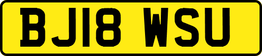 BJ18WSU
