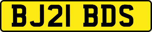 BJ21BDS