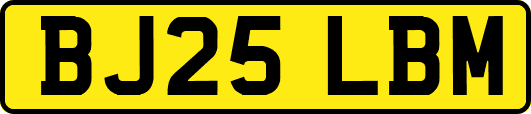 BJ25LBM