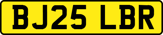 BJ25LBR