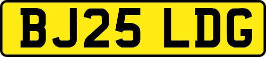BJ25LDG