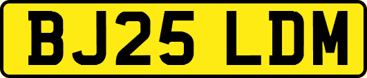 BJ25LDM