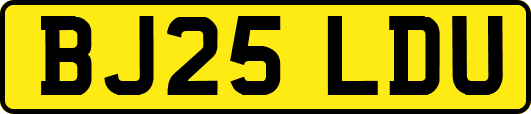 BJ25LDU