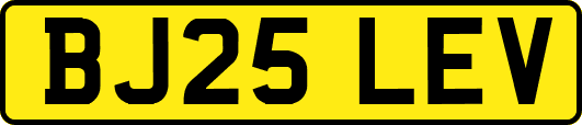 BJ25LEV