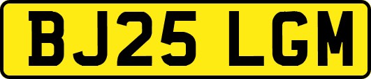 BJ25LGM