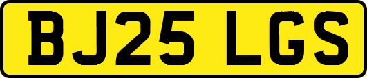 BJ25LGS