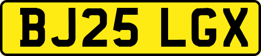 BJ25LGX