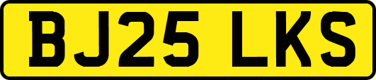 BJ25LKS