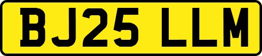 BJ25LLM
