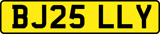 BJ25LLY