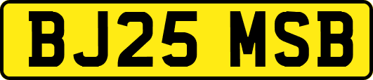 BJ25MSB