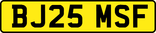 BJ25MSF