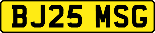 BJ25MSG
