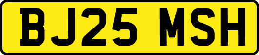 BJ25MSH