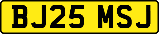 BJ25MSJ