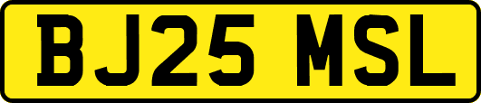 BJ25MSL