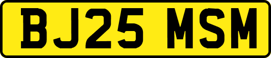 BJ25MSM