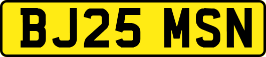 BJ25MSN