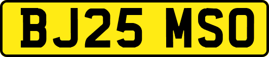 BJ25MSO