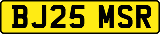 BJ25MSR