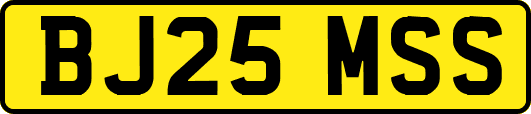 BJ25MSS