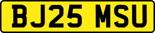 BJ25MSU