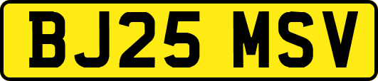 BJ25MSV
