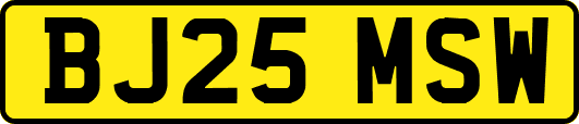 BJ25MSW