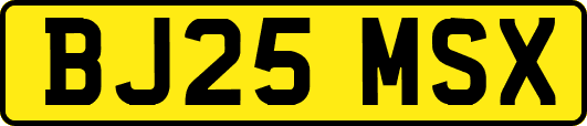 BJ25MSX
