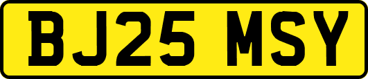 BJ25MSY