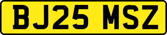 BJ25MSZ