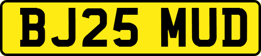 BJ25MUD