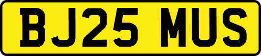 BJ25MUS