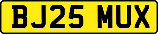BJ25MUX