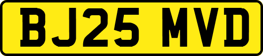 BJ25MVD